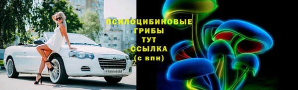 ПСИЛОЦИБИНОВЫЕ ГРИБЫ Абдулино