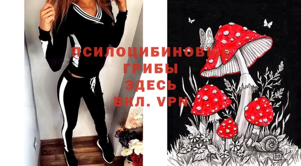 соль ск Абаза