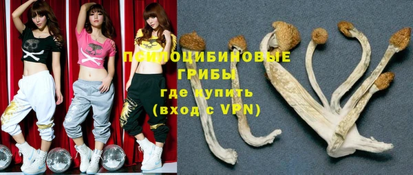 ПСИЛОЦИБИНОВЫЕ ГРИБЫ Абдулино