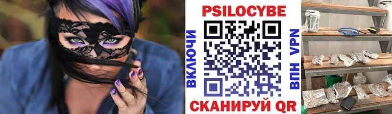 MEGA как зайти  магазин    даркнет какой сайт  Псилоцибиновые грибы Cubensis  Киренск 
