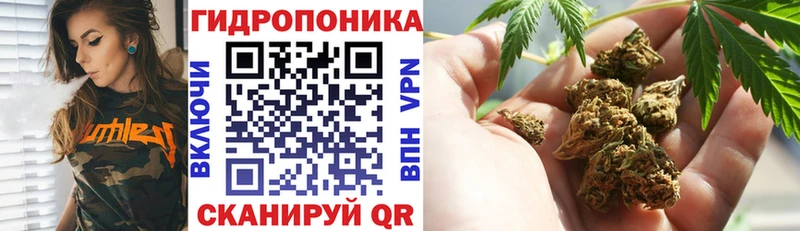 Каннабис SATIVA & INDICA  закладка  omg ONION  Киренск 